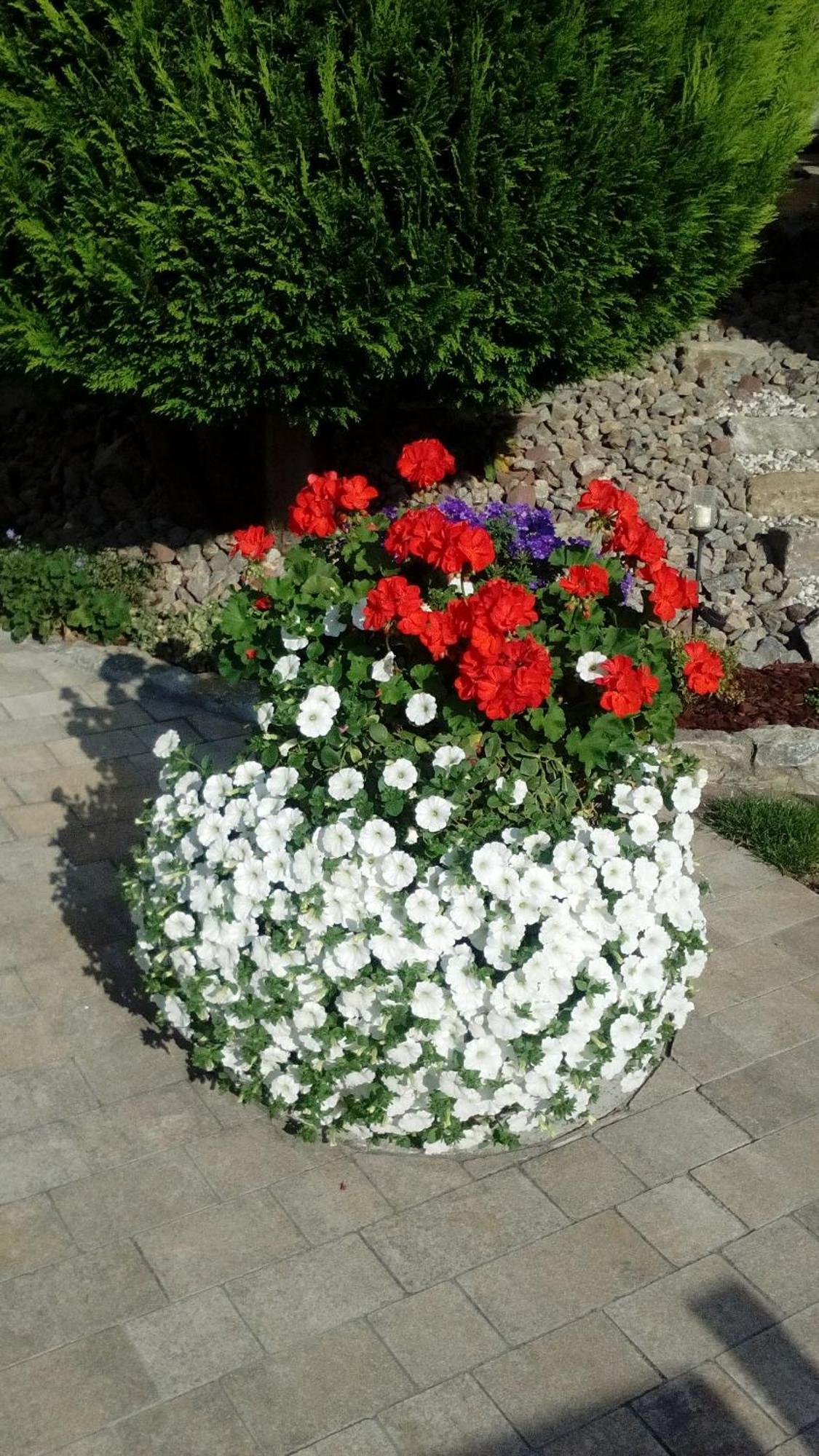 Ferienwohnung Seegarten Waldbuttelbrunn Ngoại thất bức ảnh